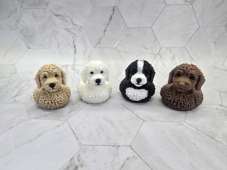 Labradoodle Ducky — product photo 2
