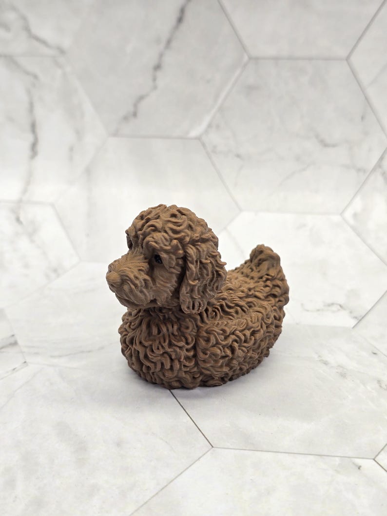 Labradoodle Ducky — Chocolate