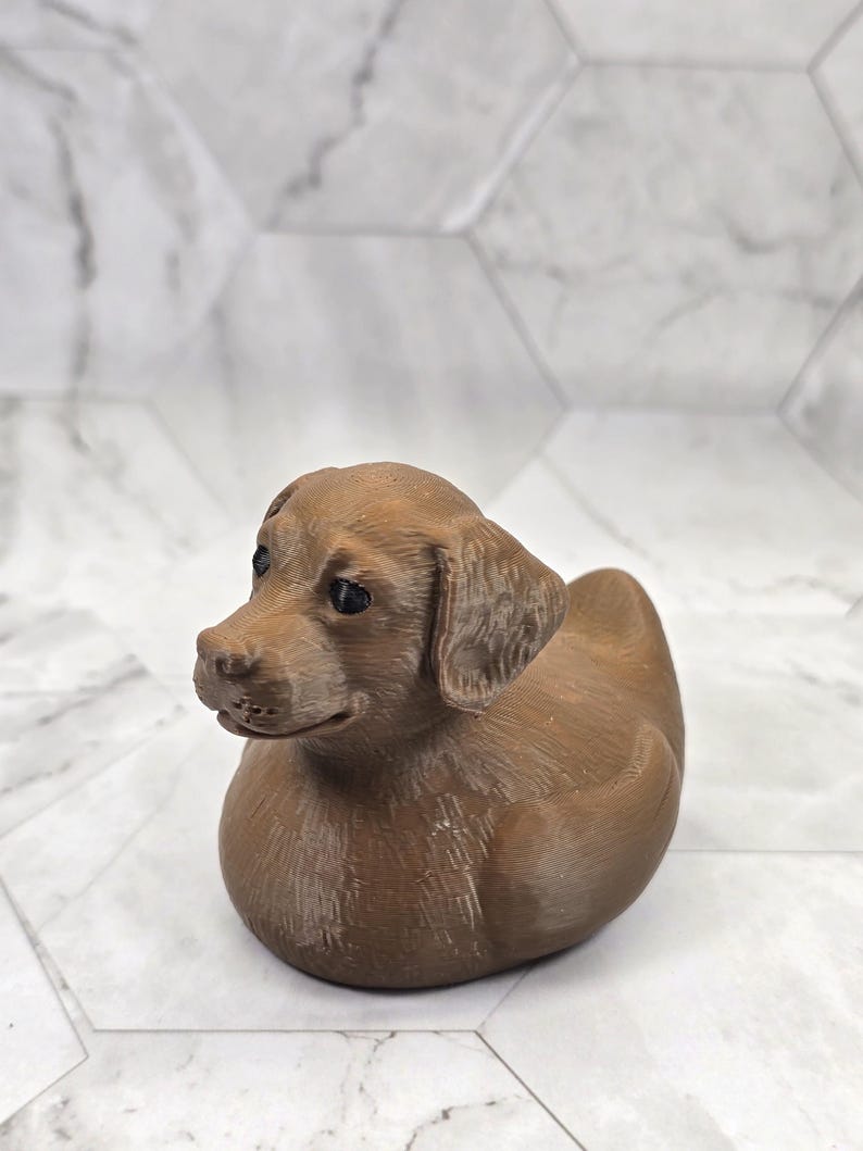 Labrador Ducky — Chocolate