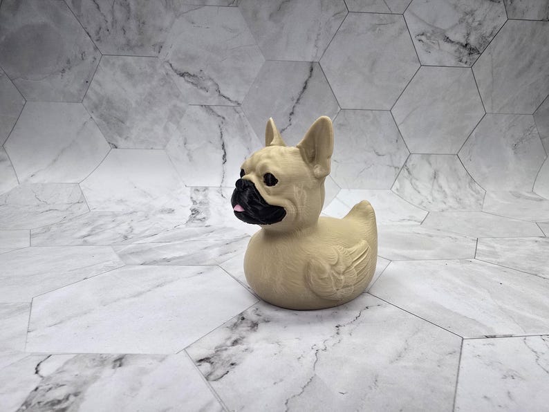 French Bulldog Ducky — Fawn