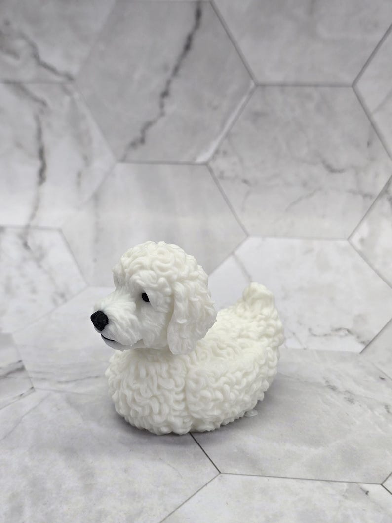 Labradoodle Ducky — White