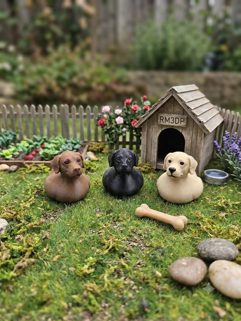 Labrador Ducky — product photo 1