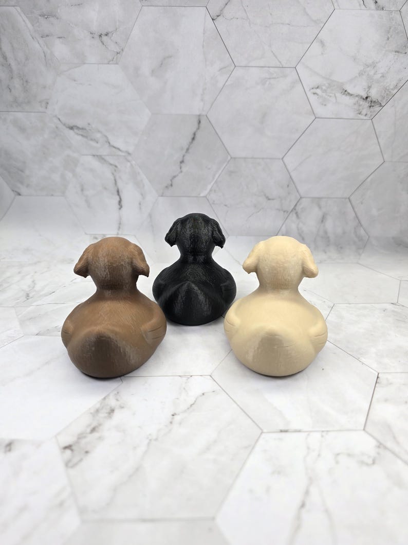 Labrador Ducky — product photo 4