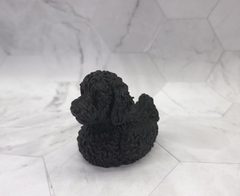 Labradoodle Ducky — Solid black